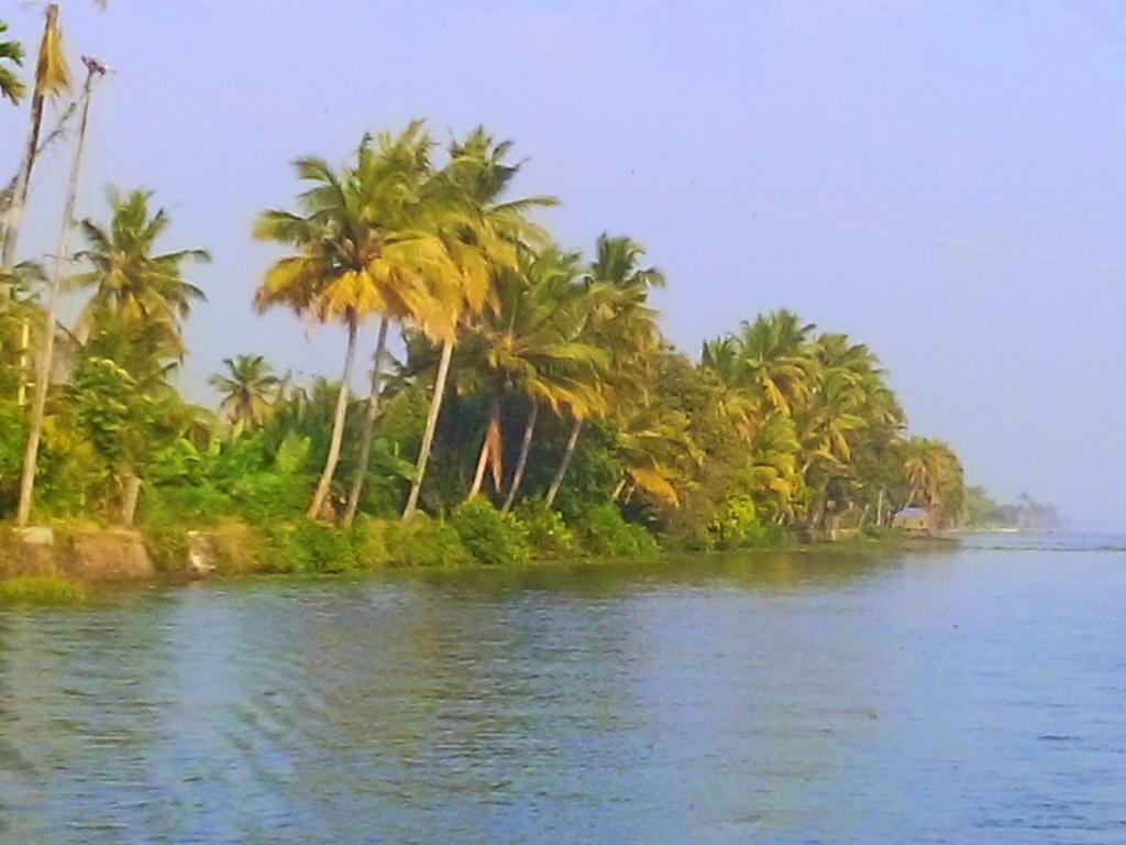 Marari Nest Beach Homestay Mararikulam Eksteriør bilde
