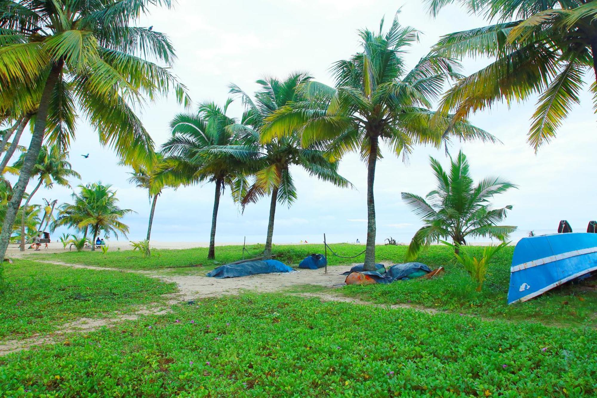 Marari Nest Beach Homestay Mararikulam Eksteriør bilde