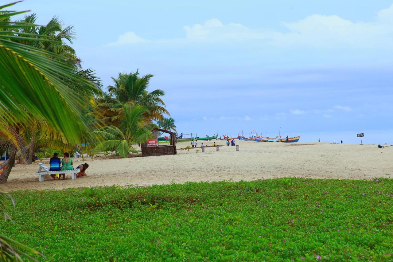 Marari Nest Beach Homestay Mararikulam Eksteriør bilde